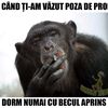 anonimcurios