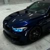 sauvage.m4