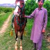 bilalkhan_836