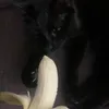 anteqyt