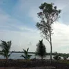 kharinhom