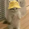 nicki_minai