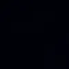 allium_sativum11