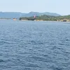 ryo388
