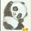 jose_ranki