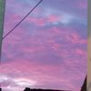 orangjomblo0222