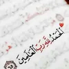 user244477963