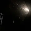 kocoidtt77