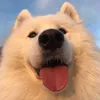kenji_2203