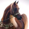 reehaab28