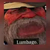 lumbago_master2