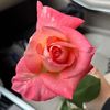 .aya_watar