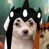 le_sorcier