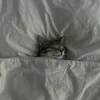 th.