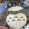 totorodesuyoaha