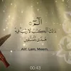 ali_wd99