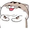 haudjrnidh