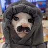 demikapz