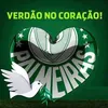 carlosyoshimoto