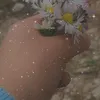 user_127gp