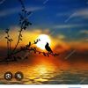 user08782016