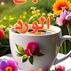 salim_9931