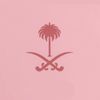 sadeem_b25