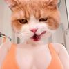 sher_ries