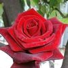user22785417