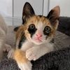 _inyursky