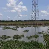 ninh6868