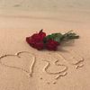 layly1172