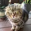user7nsevrkvwh