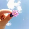 anhngums.anh