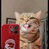 veery_vo