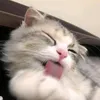 jellyxxxbean