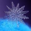 snowflake_389