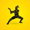 gimp_kung_fu_system