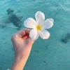 fatma30707