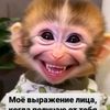 irinanova8