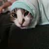 lalocadelapraderaa