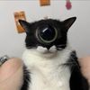 themoonseyes123
