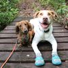 furfamilyadventuress