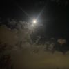 wyatt_law1