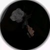 user66123332