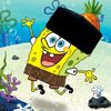 sapikputra725gmail.com