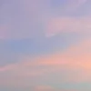 puanh23