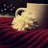 anfal_alazmi