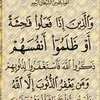 شيخ ابو سيرين تفسير احلام