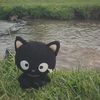 lilbibbingbap